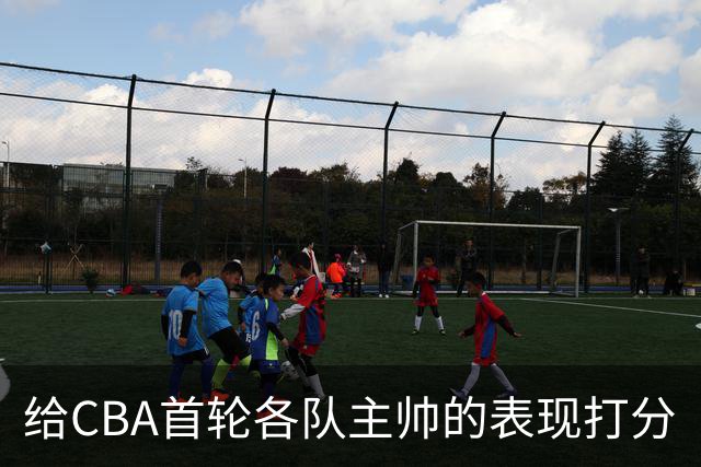 给CBA首轮各队主帅的表现打分